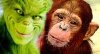 monkey.jpg