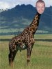 jime_giraffe.jpg